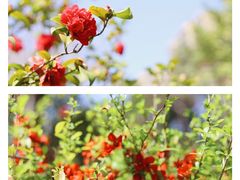 -杭州城北体育公园