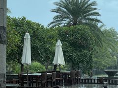 -海南清水湾莱佛士酒店