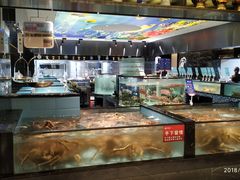 -尚海豆捞(乐虹坊店)