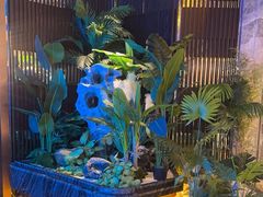 -喜庭海鲜自助(北辰三角洲北辰荟店)