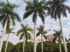 -厦门大学(思明校区)