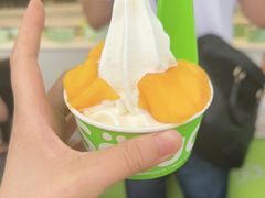 -Salud撒露欧洲冻酸奶(蓝色港湾店)