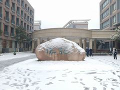 -金陵中学(河西分校)