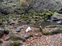 -丹东天桥沟景区