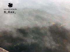 -前关湿地公园