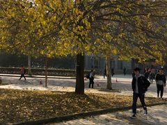 -同济大学(嘉定校区)