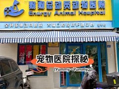 -总动员动物医院(宝丰院店)
