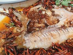 -杨氏青龙虾·羊蝎子(珠江路店)