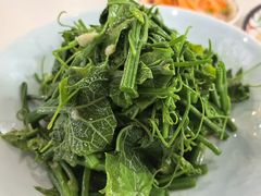 凉拌丝瓜尖-帕米尔食府(白云观店)