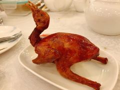 -沙田新强记烧鹅海鲜酒家