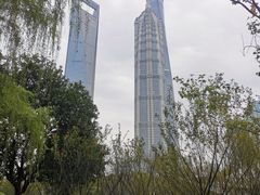-陆家嘴中心绿地