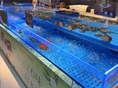 -海底捞火锅(长宁路龙之梦店)