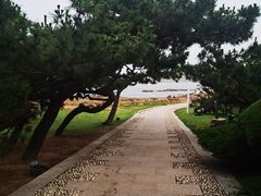 -青岛第三海水浴场