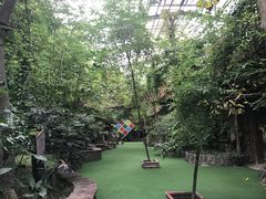 -呀路古热带植物园