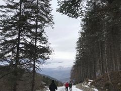 -硗碛藏寨·神木垒景区