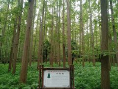 -上海怡沁园度假酒店