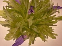 -浙里本味·宴四季江南(三台山路店)