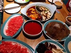 -青瓷火锅料理(西单大悦城店)
