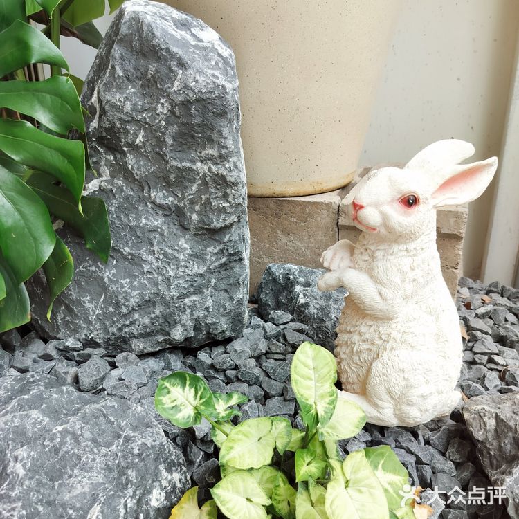 绿植环绕的咖啡馆