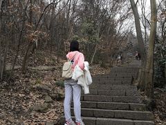 -紫金山天文台