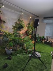 -爱儿美儿童摄影(五路居花园别墅店)