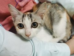 -宠颐生宠物医院外科·内科·皮肤科·影像科(石龙店)