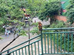 -黔灵山公园