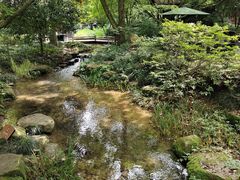 -中国茶叶博物馆(双峰馆区)