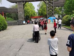 -溱湖国家湿地公园