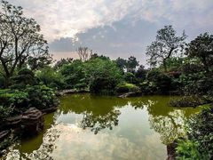 -铁山坪森林公园