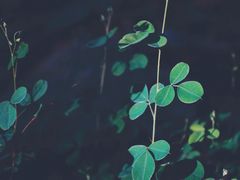 -云龙山