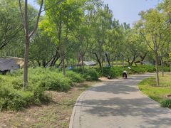 -东郊湿地公园