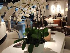 大堂-Peet's 皮爷咖啡(东湖路手作店)