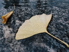 -两江幸福广场
