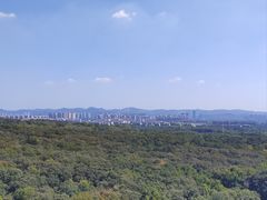 -灵谷景区