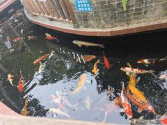 -侠成水上农庄(工业大道店)