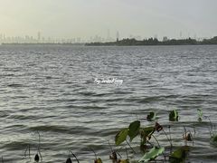 -东湖落雁景区