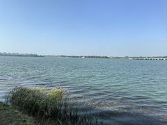 -丁香湖公园