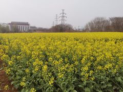 -南京工程学院(江宁校区)