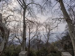-紫金山索道-售票处