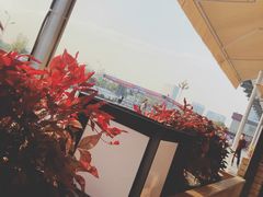 -Bco豆库(星耀天地店)