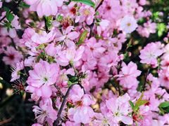 -白塘生态植物园