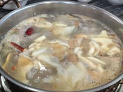 -鸽鸟轩(石岐店)