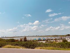 -南汇嘴观海公园