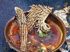 -肥龙火锅(南坪店)