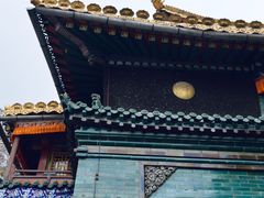 -塔尔寺菩提树