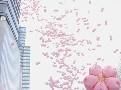 -金茂览秀城