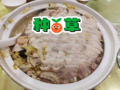 普通砂锅白肉-砂锅居(西四店)