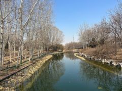 -大望京公园