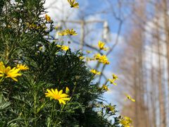 -苏州河梦清园环保主题公园